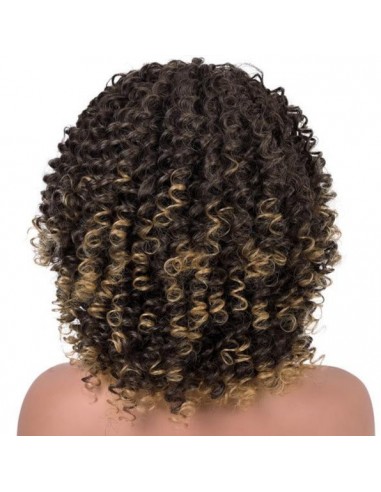 Perruque Afro Noire Blonde Comparez et commandez 