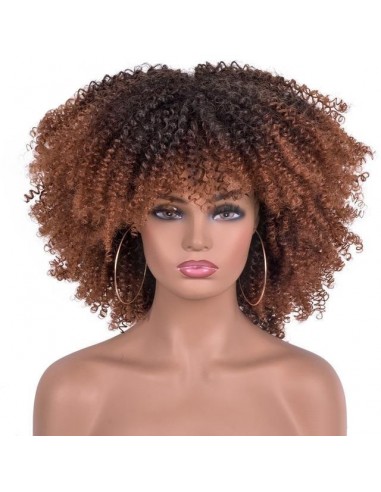 Perruque Afro Marron Vous souhaitez 