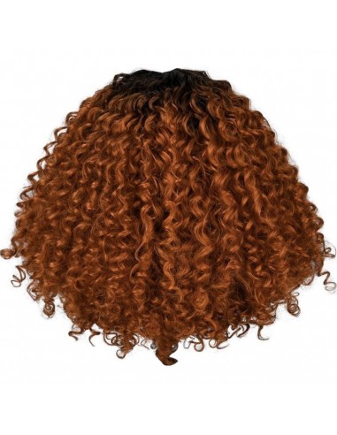 Perruque Afro Couleur Caramel Economisez 