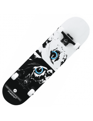 Skateboard Hibou sur le site 