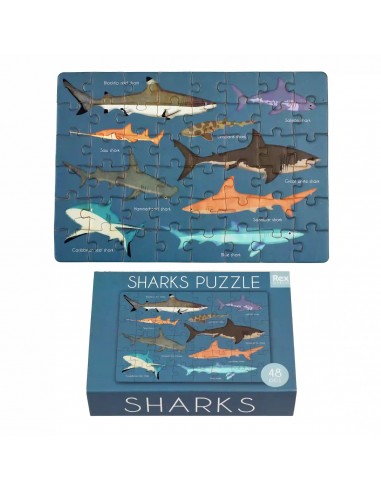 Rex london - Puzzle boîte d'allmettes requin prix pour 