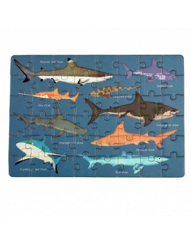 Rex london - Puzzle boîte d'allmettes requin prix pour 